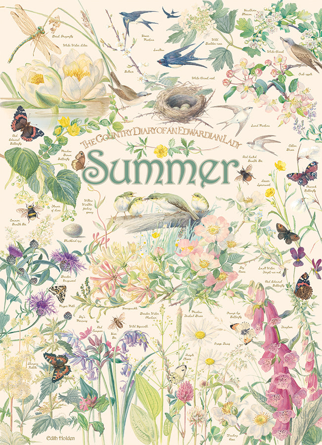 Country Diary: Summer 1000 Piece Cobble Hill Puzzle - Stott. Rowena CW-12039_f2ed8222-5490-4a1a-9282-843edf11c14a
