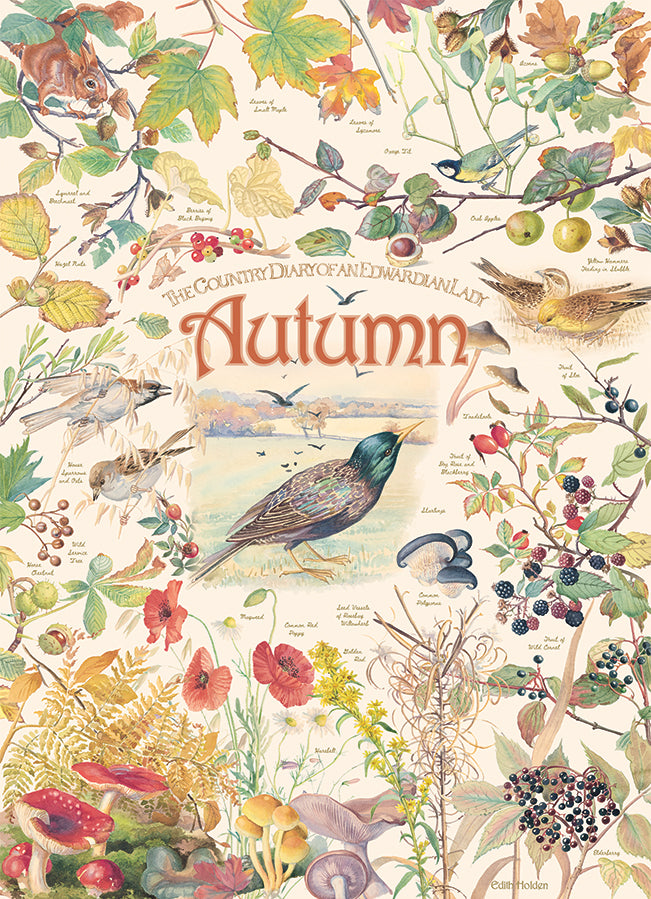 Country Diary: Autumn 1000 Piece Cobble Hill Puzzle - Stott. Rowena CW-12040