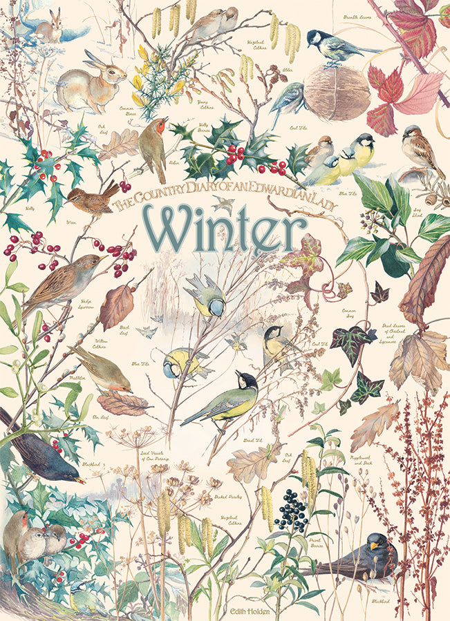 Country Diary: Winter 1000 Piece Cobble Hill Puzzle - Stott. Rowena CW-12041