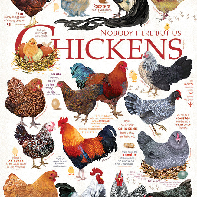 Chicken Quotes 1000 Piece Cobble Hill Puzzle - Davis. Ashley CW-12059