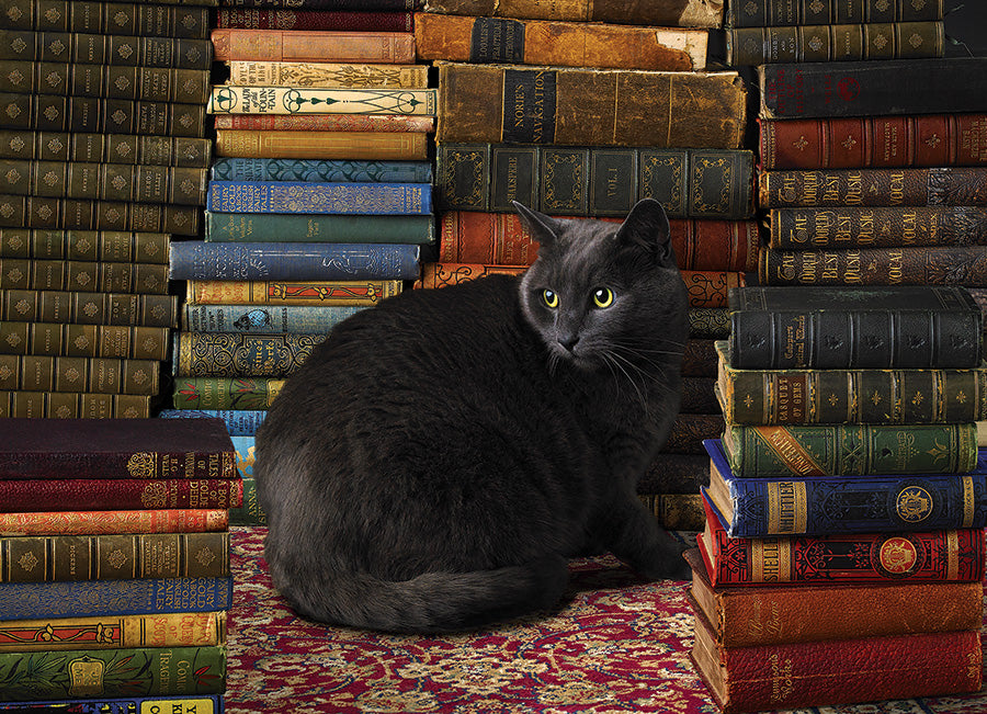 Library Cat 1000 Piece Cobble Hill Puzzle CW-12061