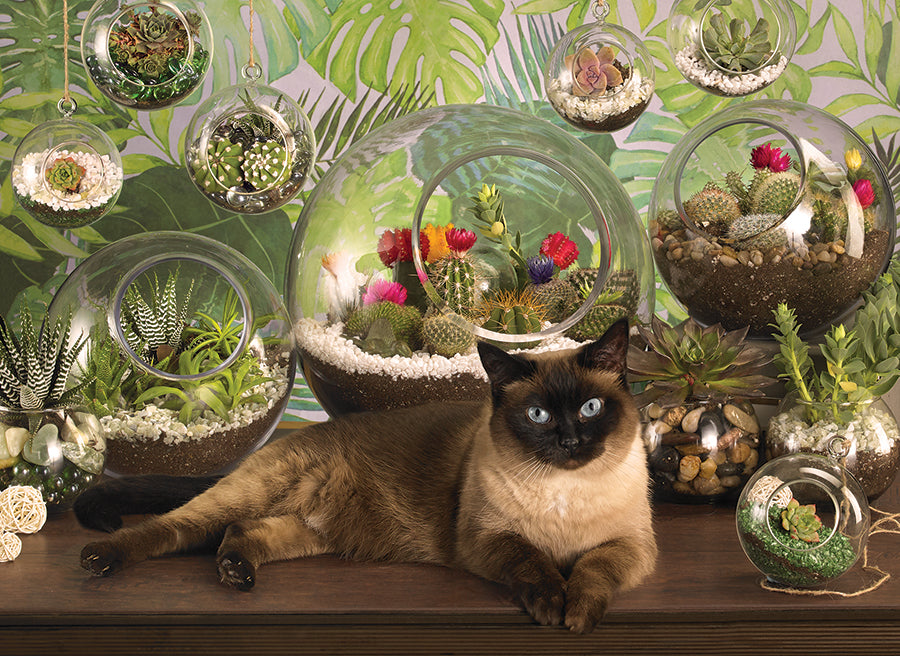 Terrarium Cat 1000 Piece Cobble Hill Puzzle CW-12062