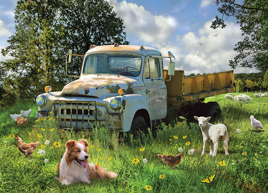 Sheep Field 1000 Piece Cobble Hill Puzzle - Greg & Co. Llc CW-12065