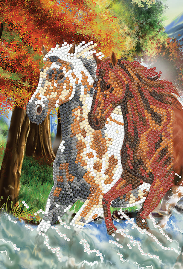 Wild Horses Crystal Art Notebook Kit CW-12165