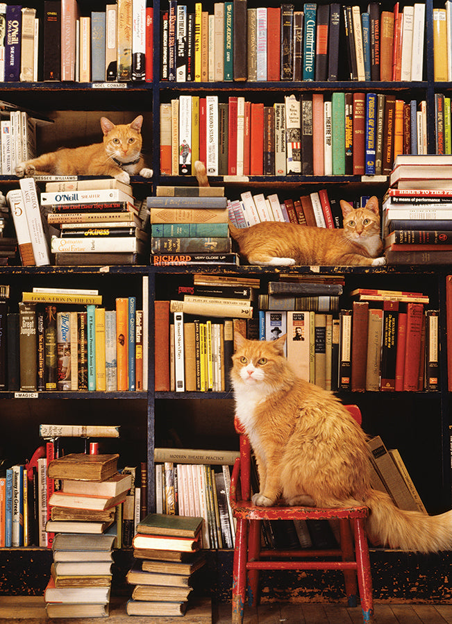 Gotham Bookstore Cats 500 Piece Cobble Hill Puzzle - Robinson & Powers CW-12181_2430694e-aad5-41c8-88e5-0f1ec2b118fd