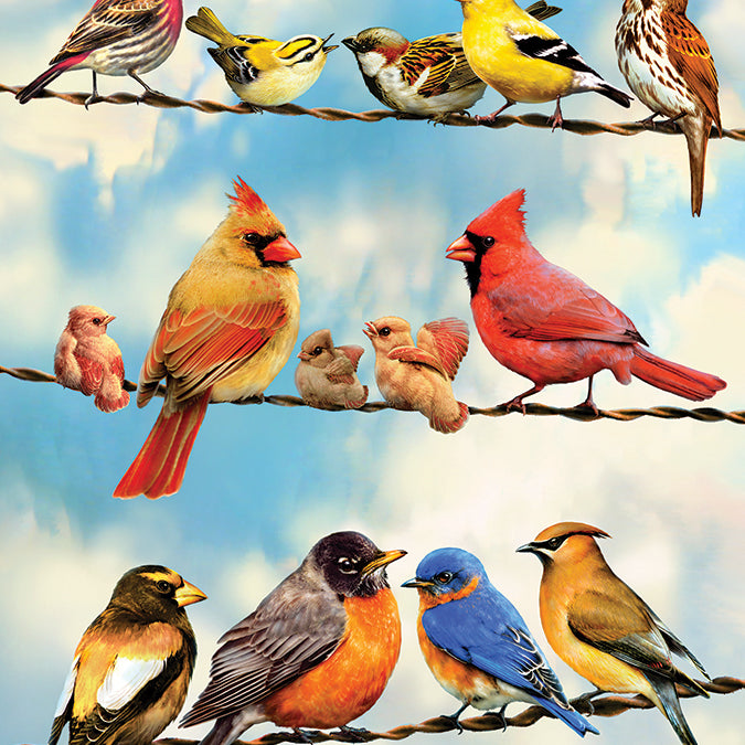 Birds On A Wire 500 Piece Cobble Hill Puzzle - Greg & Co. Llc CW-12184