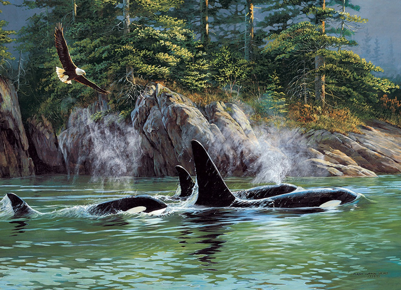 Orcas 1000 Piece Cobble Hill Puzzle - Weirs. Persis Clayton CW-12200_0862022f-2a99-4722-a694-b448df7a6d2a