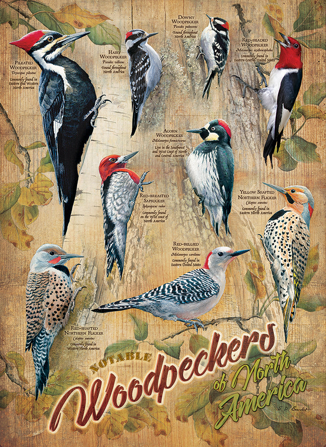 Noteable Woodpeckers 500 Piece Cobble Hill Puzzle - Bourdet. Susan CW-12245