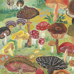 Mushrooms Vintage 1000 Piece Puzzle CW-12638