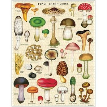 Mushrooms Vintage 1000 Piece Puzzle CW-12638_39db246e-4841-4b3b-b17e-2135e95e95f5