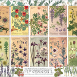 Botanicals By Verneuil 1000 Piece Puzzle - Verneuil. M.P. CW-13170