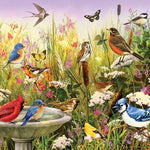 Feathered Friends 1000 Piece Puzzle - Greg & Co. Llc CW-13178