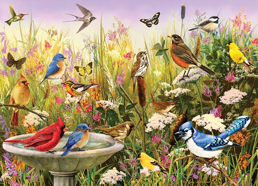 Feathered Friends 1000 Piece Puzzle - Greg & Co. Llc CW-13178