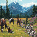 Horse Meadow 1000 Piece Puzzle - Penner. Kim CW-13182