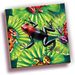 Magic Square Puzzle: Frogs 25 CW-13710_2