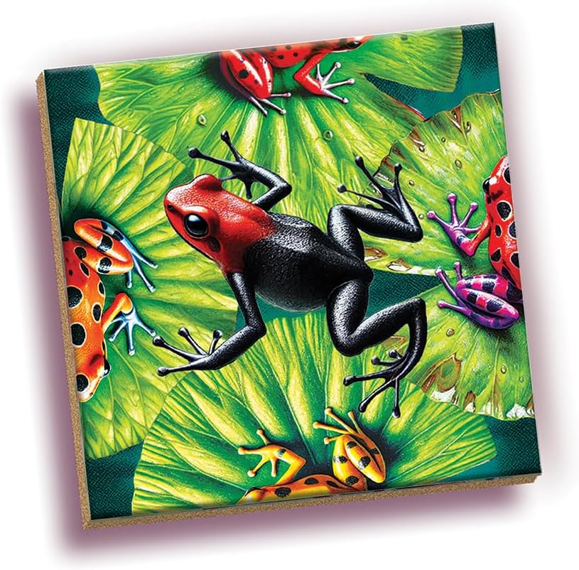 Magic Square Puzzle: Frogs 25 CW-13710_2