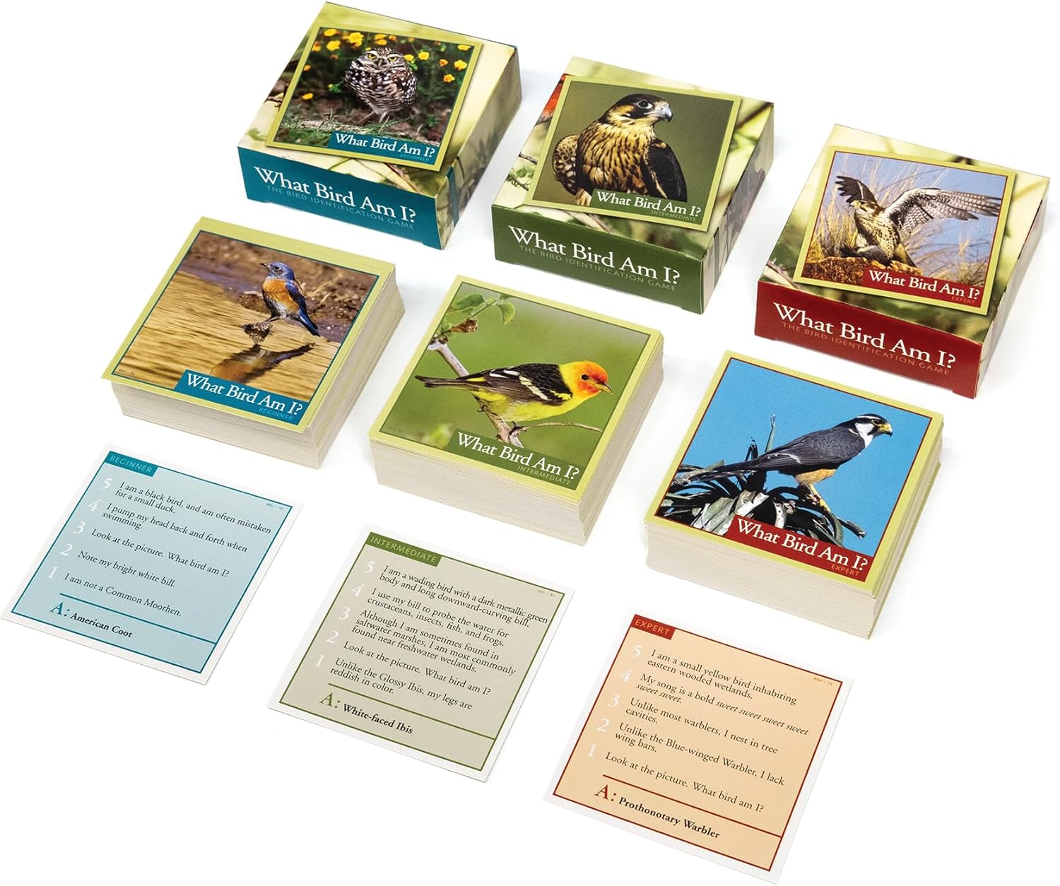 What Bird Am I? The Bird Identification Game - Outset Media CW-13721_1