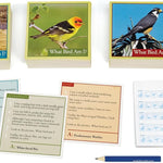 What Bird Am I? The Bird Identification Game - Outset Media CW-13721_4