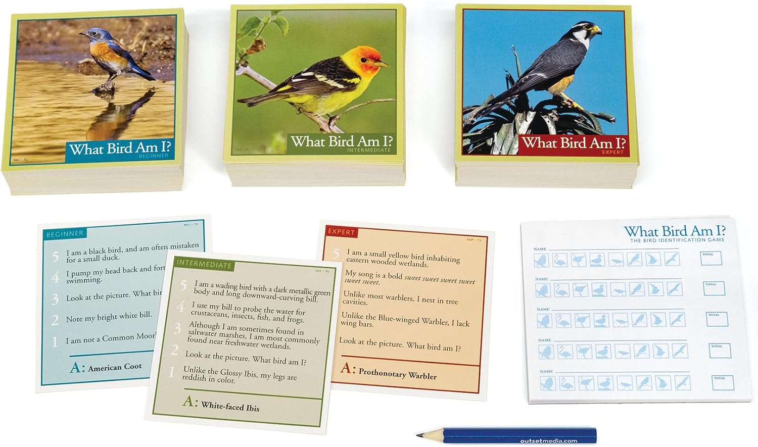 What Bird Am I? The Bird Identification Game - Outset Media CW-13721_4