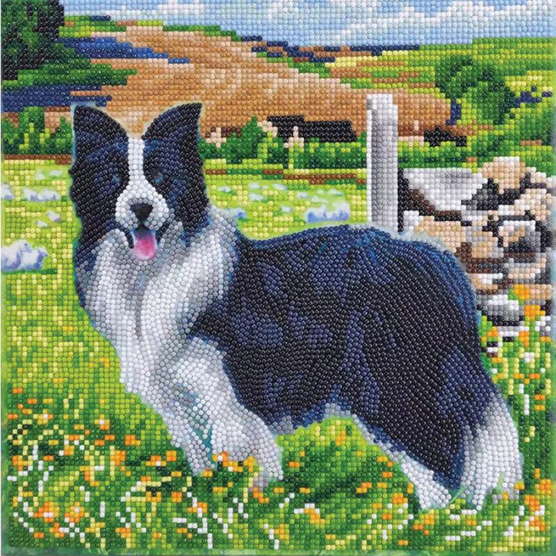 PUP IN FIELD MEDIUM CRYSTAL ART MOUNTED KIT (11.8" X 11.8") CW-14890