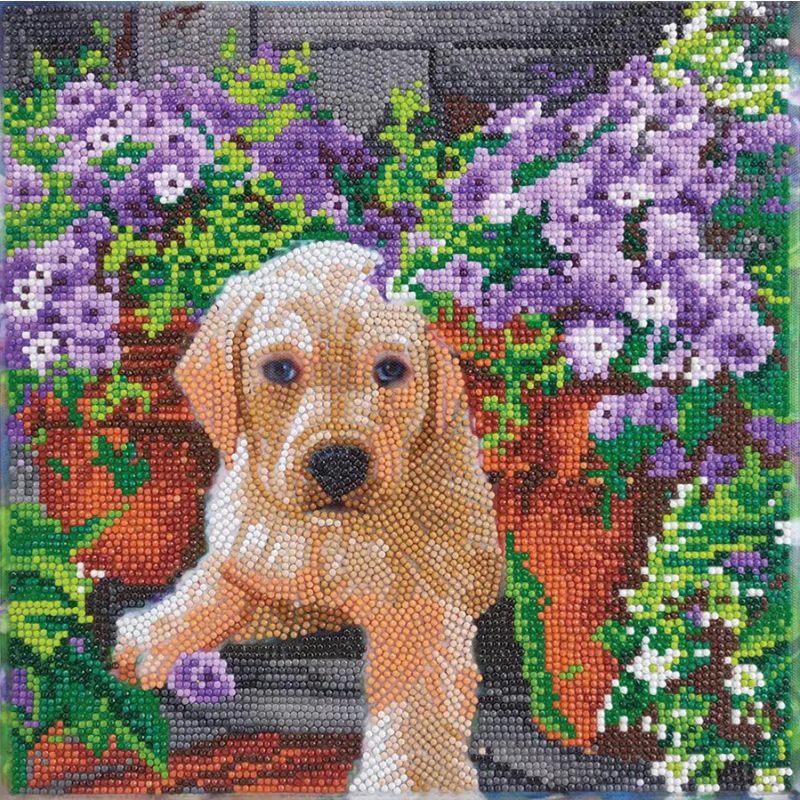 FLORAL PUP MEDIUM CRYSTAL ART MOUNTED KIT (11.8" X 11.8") CW-14893