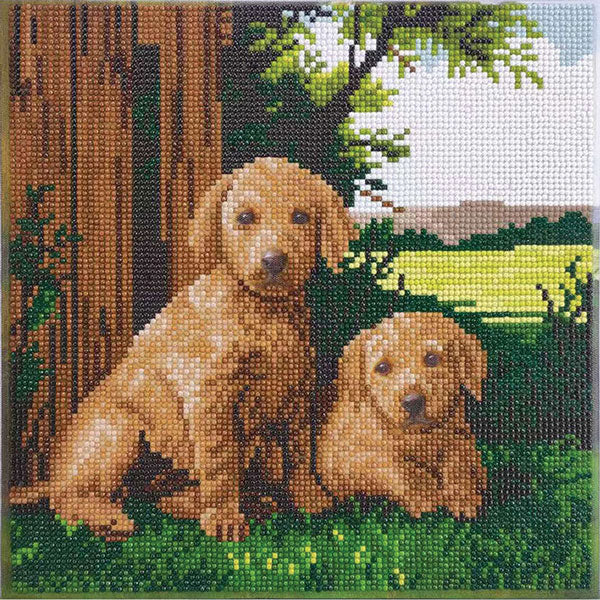 NEXT TO THE FENCE MEDIUM CRYSTAL ART MOUNTED KIT (11.8" X 11.8") CW-15061
