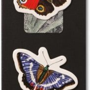 Butterflies Mini Marks Magnetic Bookmarks 20 CW-15478