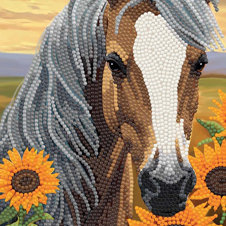 Horse Crystal Art Notebook Kit 50 CW-15557