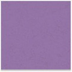 8.5X11 Grape Jelly Paper DS-10059