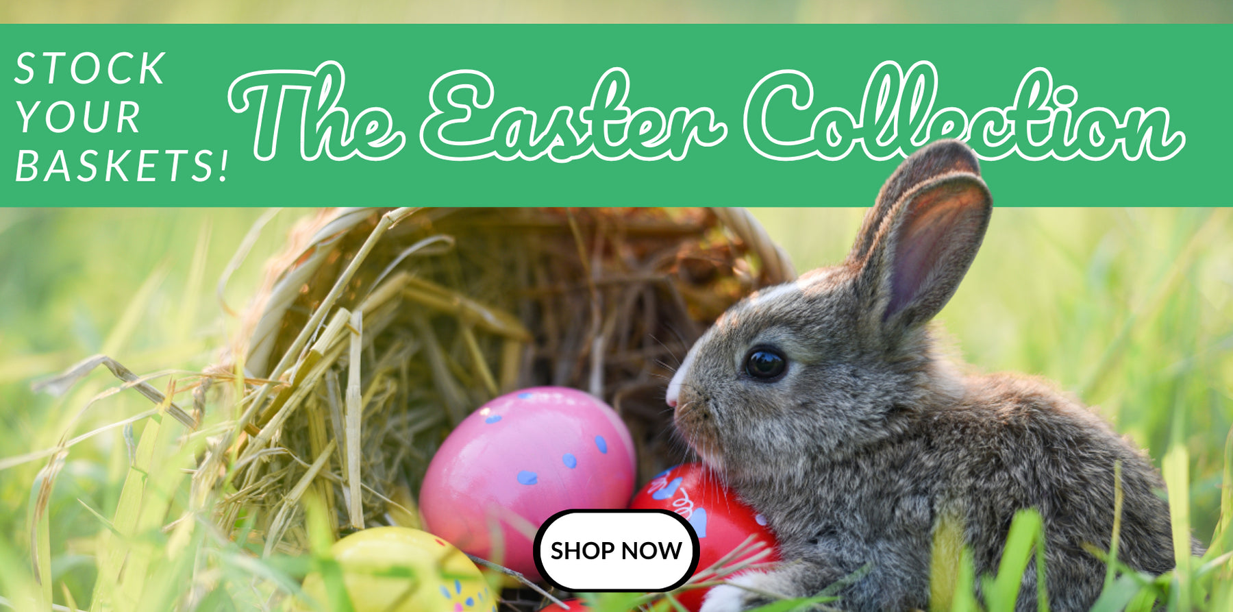 Jerrol's Productivity, Creativity and Learning