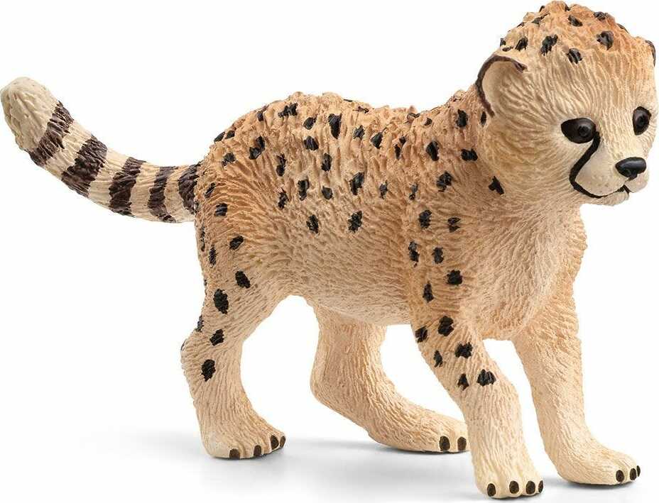 CHEETAH CUB FL176747