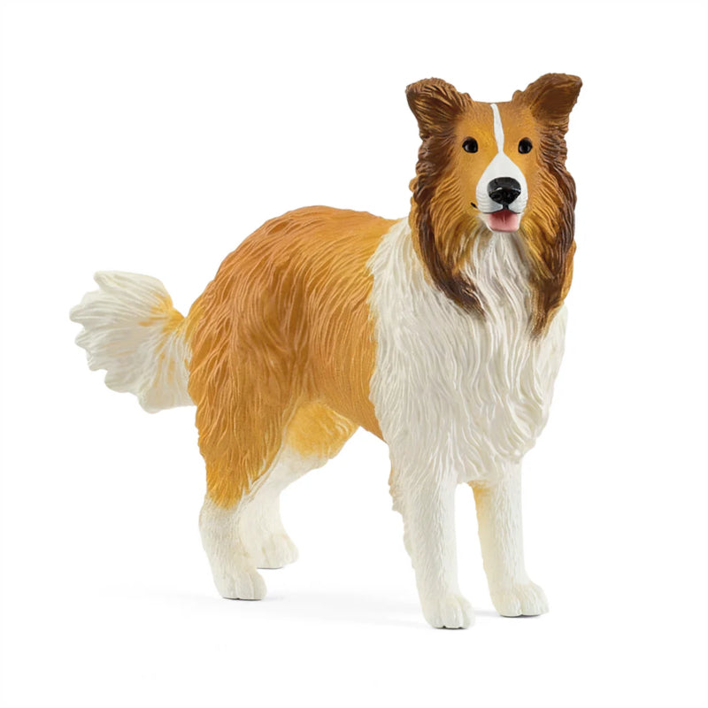 Collie 80 FL177000