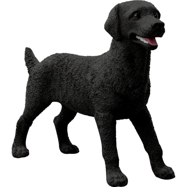 Black Labrador Female Retrieve 80 FL177002