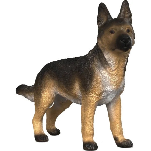 German Shepherd Female 80 FL177003