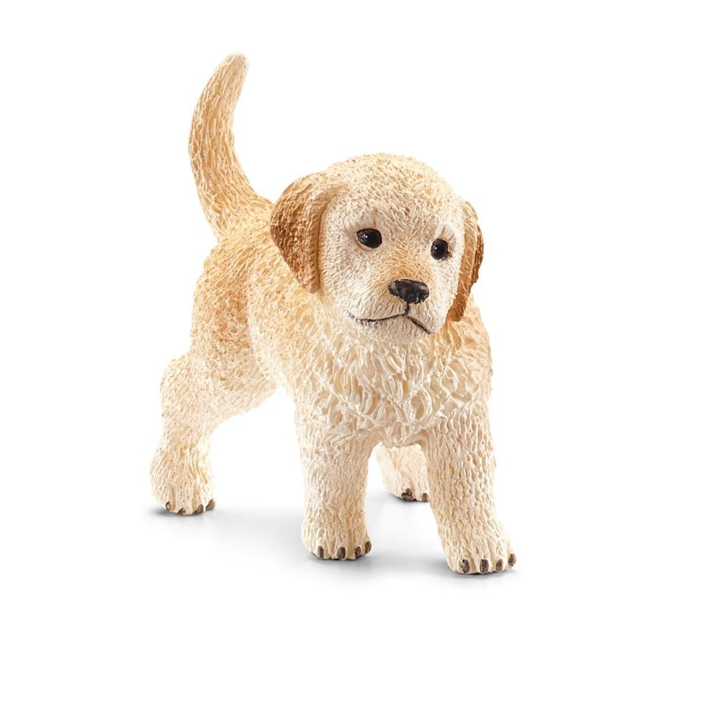 Golden Retriever Puppy 80 FL177005