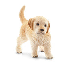 Golden Retriever Puppy 80 FL177005