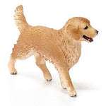 Golden Retriever Puppy 80 FL177005_215d27a5-0ab1-4d73-af5d-f579e089cfa3