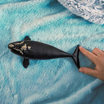North Atlantic Right Whale 80 FL177009_5f239da0-697c-4e22-9968-1df0462c03cd