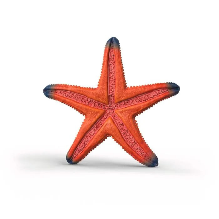 Starfish Color Changing 80 FL177012