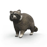 Raccoon 80 FL177014