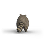 Raccoon 80 FL177014_2
