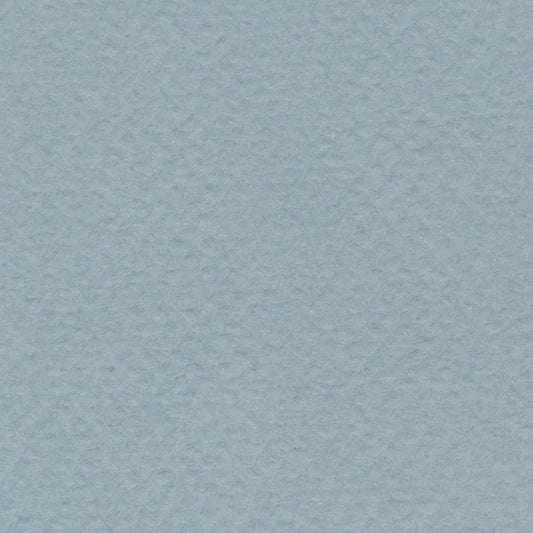 WEDGWOOD BLUE 19X25 98# BEE Jerrol's Supplies