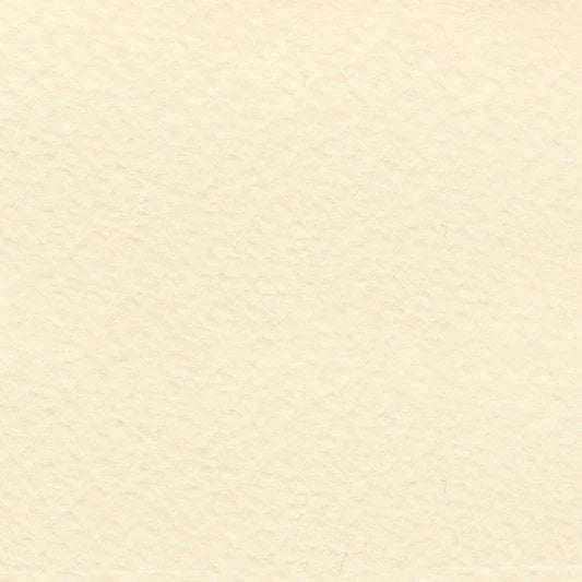IVORY 19X25 98# BEE Jerrol's Supplies