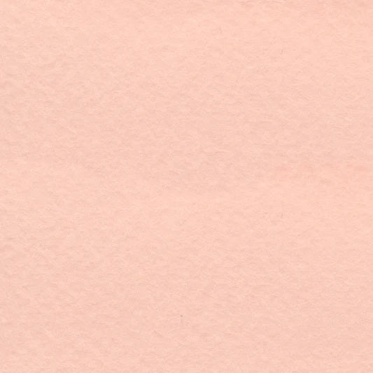 PALE PEACH 19X25 98# BEE Jerrol's Supplies