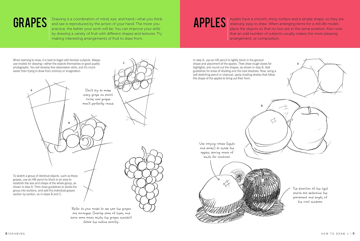 How To Draw & Paint Drawing #1 JB-38008_2