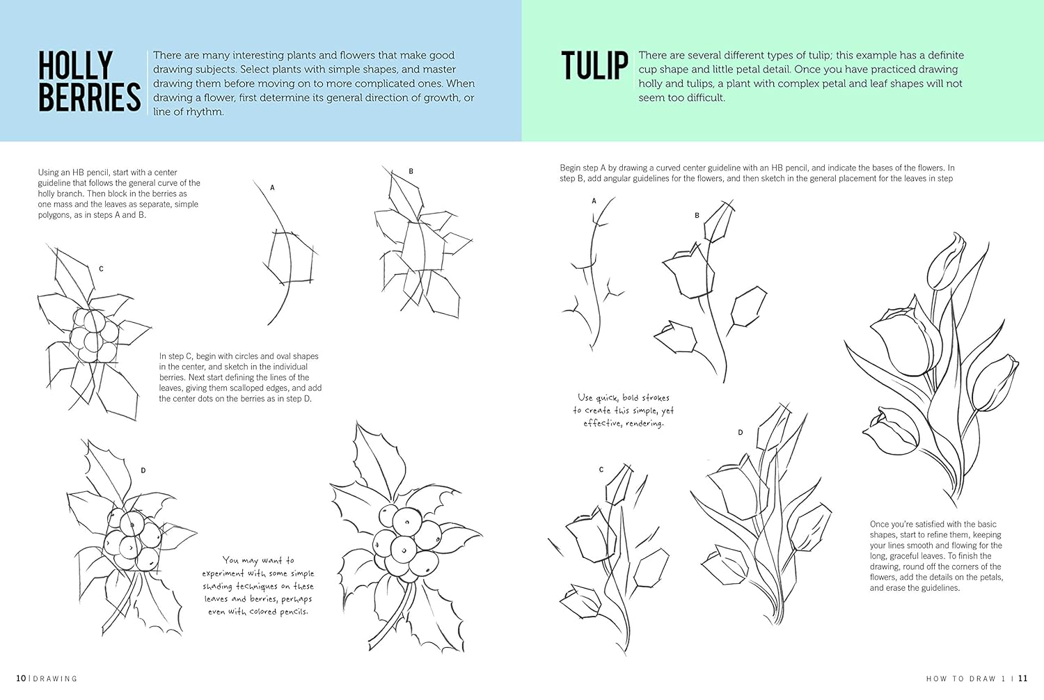 How To Draw & Paint Drawing #1 JB-38008_3