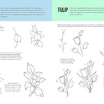How To Draw & Paint Drawing #1 JB-38008_3