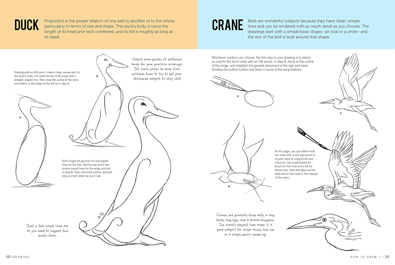 How To Draw & Paint Drawing #1 JB-38008_4