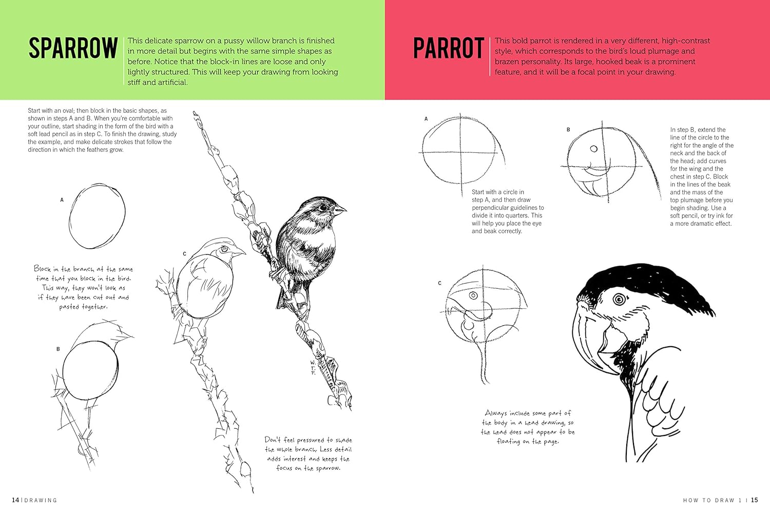How To Draw & Paint Drawing #1 JB-38008_5