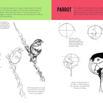 How To Draw & Paint Drawing #1 JB-38008_5